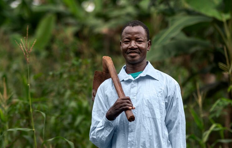 Greenhouse food production