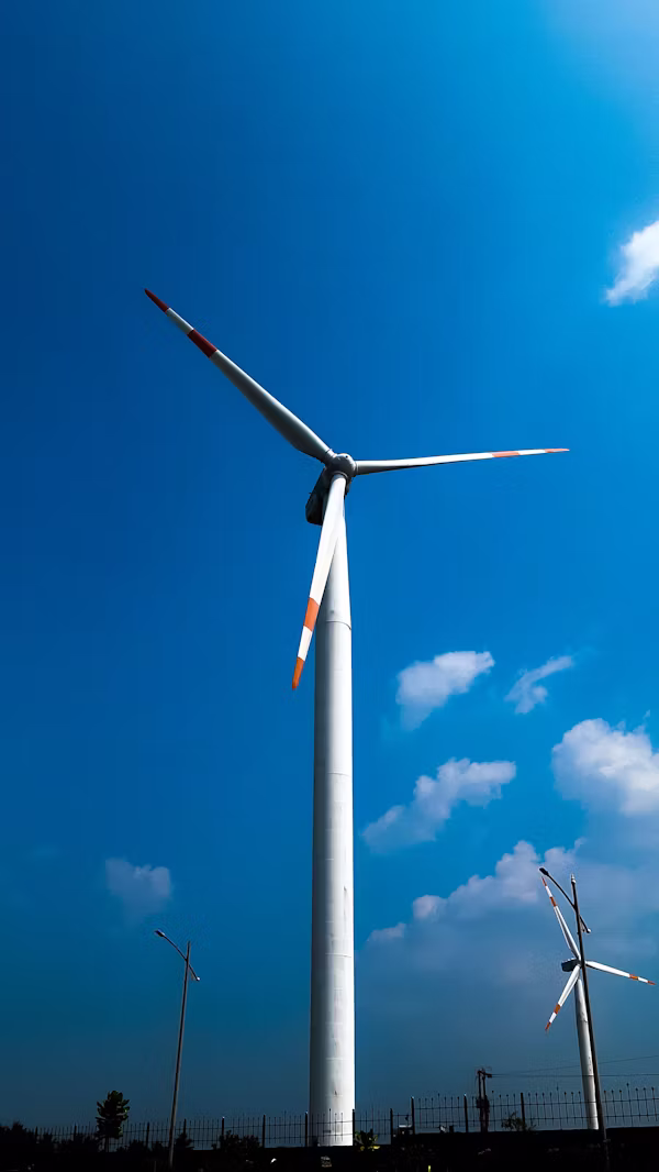 Carbon Management